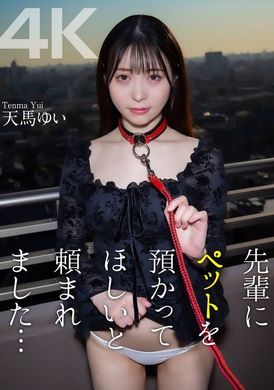 CRNX-117前輩要我照顧他的寵物…天馬唯 - AV大平台 - 中文字幕，成人影片，AV，國產，線上看